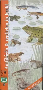 Omslag van Amfibieen en reptielen in beeld