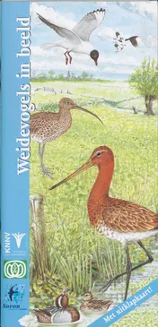Omslag van Weidevogels in beeld