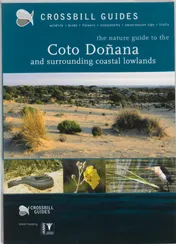 Omslag van The nature guide to the Coto Donana