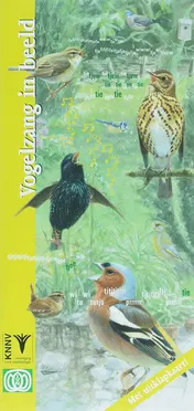 Omslag van Vogelzang in beeld