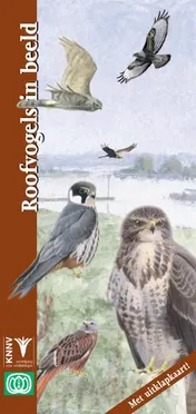 Omslag van Roofvogels in beeld