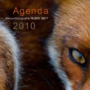 Omslag van 2010