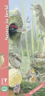 Omslag van Nesten in beeld