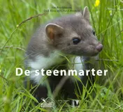 Omslag van Steenmarter