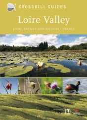 Omslag van Loire valley