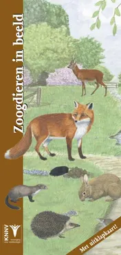 Omslag van Zoogdieren in beeld