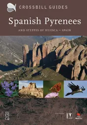 Omslag van Pyrenees