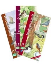 Omslag van Vogelset