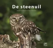 Omslag van De Steenuil