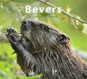 Omslag van Bevers