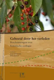 Omslag van Geboeid door het verleden