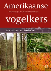 Omslag van Amerikaanse vogelkers