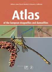 Omslag van Atlas of the European dragonflies and damselflies