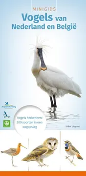 Omslag van Minigids vogels van Nederland en België