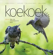 Omslag van Koekoek