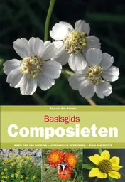 Omslag van Basisgids composieten