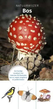 Omslag van Natuurwijzer Bos