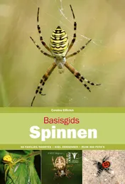 Omslag van Basisgids Spinnen