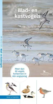 Omslag van Minigids Wad- en kustvogels