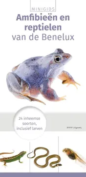 Omslag van Minigids Amfibieën en reptielen
