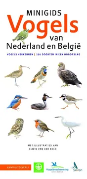 Omslag van Minigids Vogels van Nederland en België