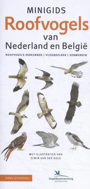 Omslag van Minigids Roofvogels van Nederland en België