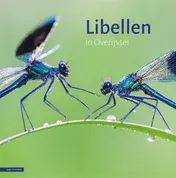 Omslag van Libellen in Overijssel