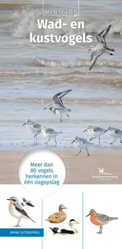 Omslag van Set Minigids Wad- en kustvogels