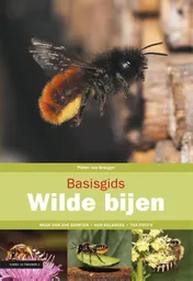 Omslag van Basisgids wilde bijen