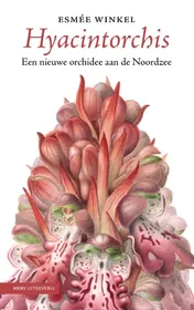 Omslag van Hyacintorchis