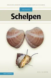 Omslag van Veldgids Schelpen