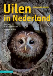 Omslag van Uilen in Nederland
