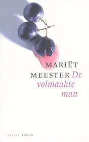 Omslag van De volmaakte man