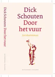 Omslag van Door het vuur