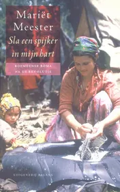 Omslag van Sla een spijker in mijn hart