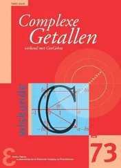 Omslag van Complexe getallen