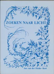 Omslag van Zoeken naar licht