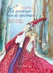 Omslag van Het avontuur van de speelman