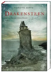 Omslag van Drakensteen