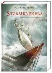 Omslag van Stormbrekers