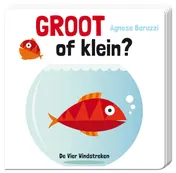 Omslag van Groot of klein?