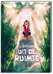 Omslag van Lichtjes uit de ruimte