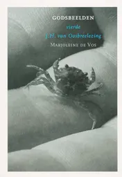 Omslag van Godsbeelden