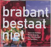Omslag van Brabant bestaat niet