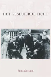 Omslag van Het gesluierde licht