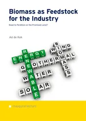 Omslag van Biomass as feedstock for the industry