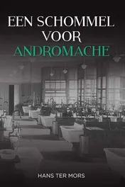 Omslag van Een schommel voor Andromache