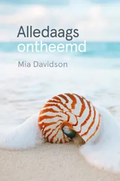Omslag van Alledaags ontheemd
