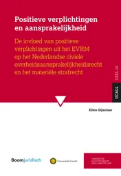 Omslag van Positieve verplichtingen en aansprakelijkheid