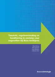 Omslag van Toezicht, regelovertreding en handhaving in aanloop naar ongevallen bij Brzo-bedrijven